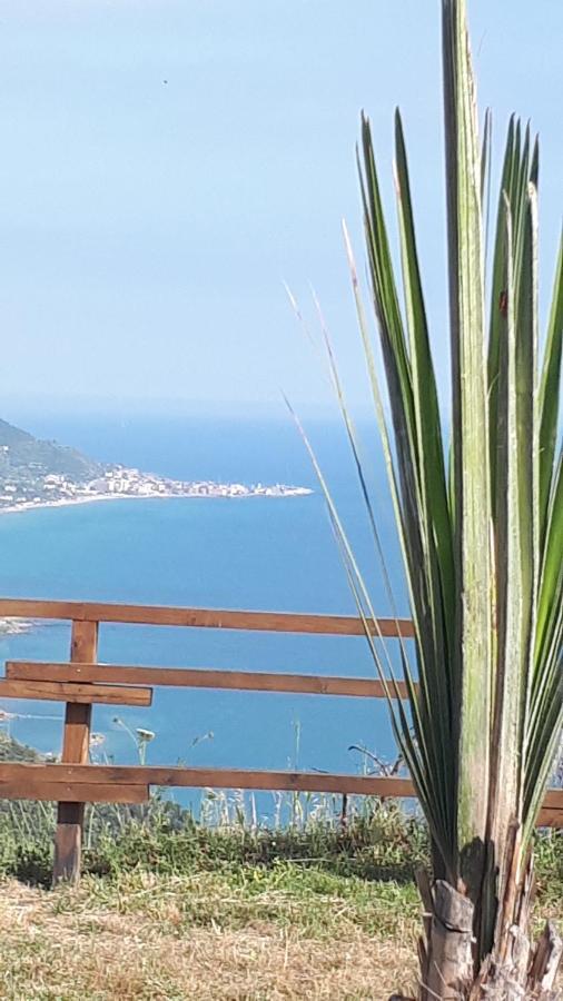 Tenuta Belvedere Cilento Montecorice Exterior photo