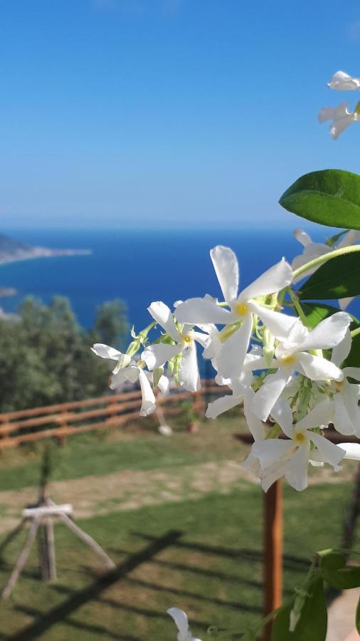 Tenuta Belvedere Cilento Montecorice Exterior photo