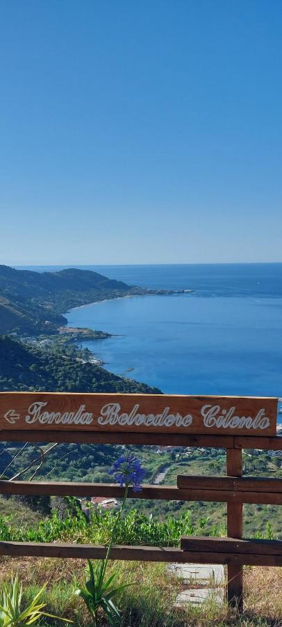 Tenuta Belvedere Cilento Montecorice Exterior photo